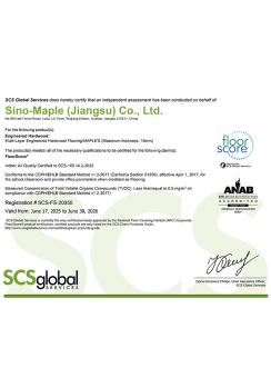 Оцінка підлоги SCS-FS